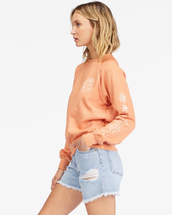 Billabong Shrunken Crew Pullover Sweatshirt Ginger | EPBWMX-053