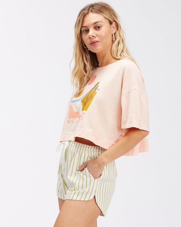 Billabong Silniční Trippin Elastic Pasem Shorts Salt Crystal 1 | LJPTZO-093