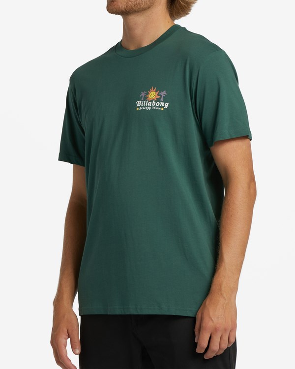 Billabong Social Club Krátké Sleeve T-Shirt Cypress | UISENT-390