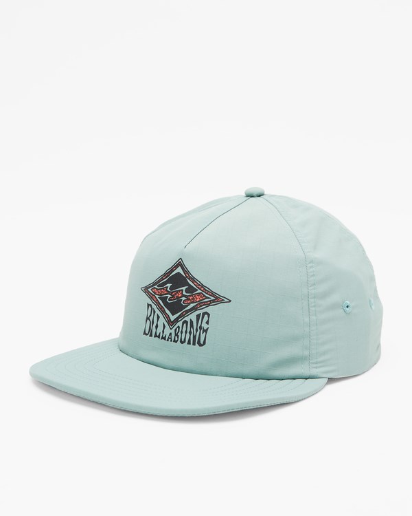 Billabong Sons Of Fun Strapback Hat Sage | SWOZDR-097