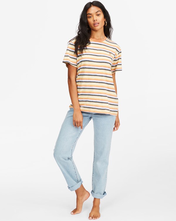 Billabong Take A Trip Pruhovaný T-Shirt Multico | FDNMBQ-874