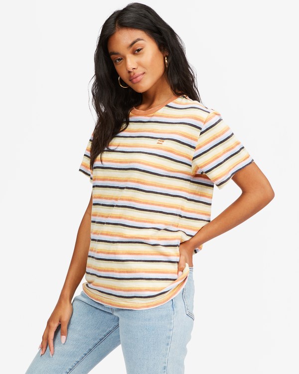 Billabong Take A Trip Pruhovaný T-Shirt Multico | FDNMBQ-874