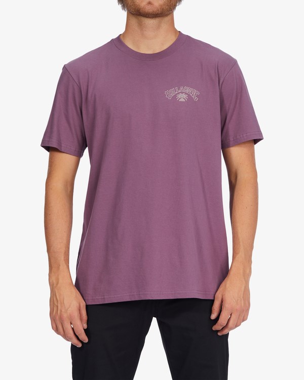 Billabong Theme Arch Krátké Sleeve T-Shirt Fialové | JBFSQZ-590