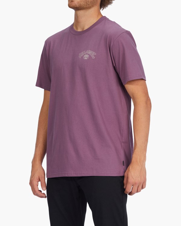 Billabong Theme Arch Krátké Sleeve T-Shirt Fialové | JBFSQZ-590