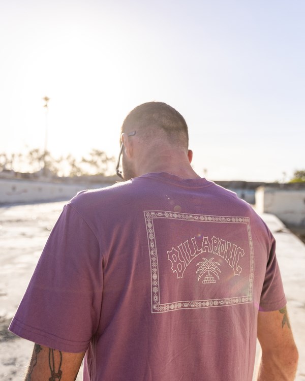 Billabong Theme Arch Krátké Sleeve T-Shirt Fialové | LHXRKP-412