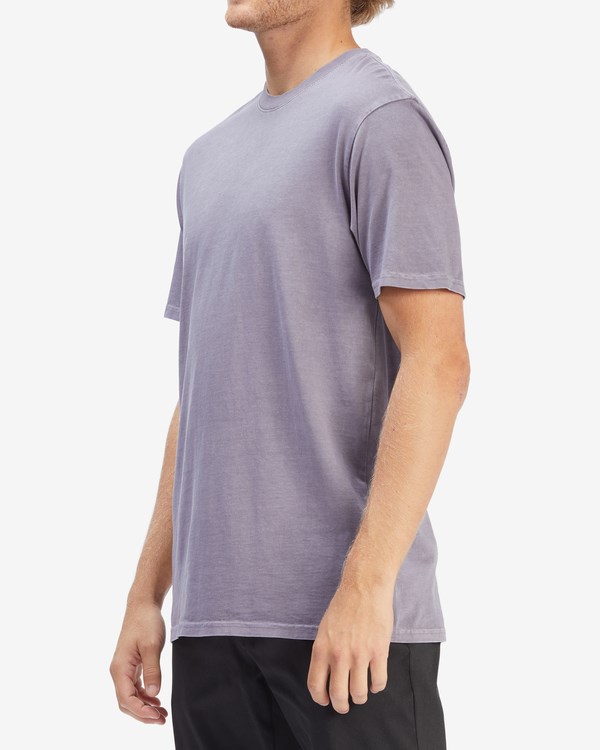 Billabong Wave Washed Krátké Sleeve T-Shirt Fialové | DCIJTN-637