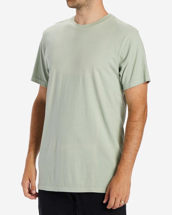 Billabong Wave Washed Krátké Sleeve T-Shirt Světle | GTRIQC-594