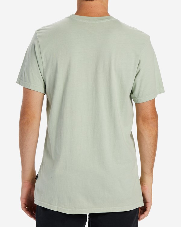 Billabong Wave Washed Krátké Sleeve T-Shirt Světle | GTRIQC-594