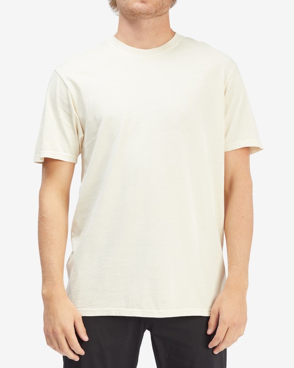 Billabong Wave Washed Krátké Sleeve T-Shirt Bone | IWZAQF-267