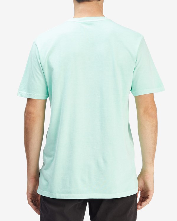 Billabong Wave Washed Krátké Sleeve T-Shirt Mátově Zelená | JESMNP-614