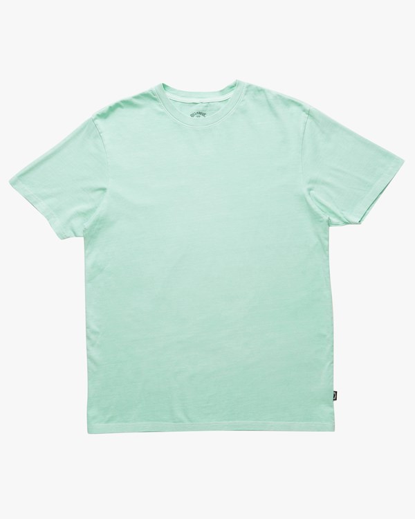 Billabong Wave Washed Krátké Sleeve T-Shirt Mátově Zelená | JESMNP-614