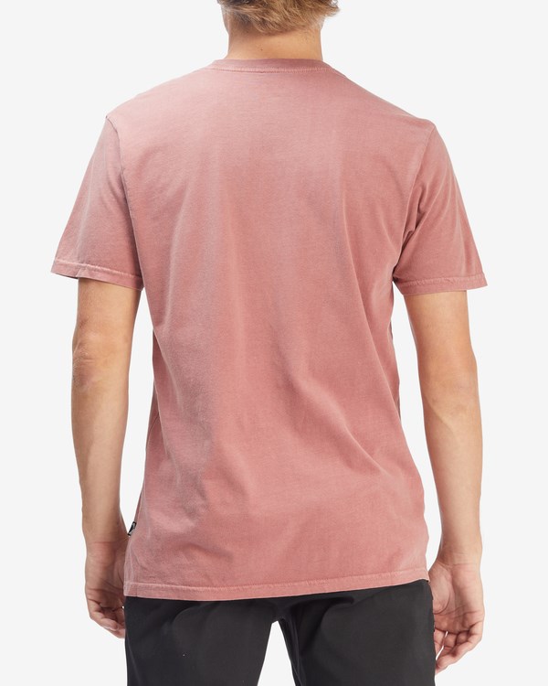 Billabong Wave Washed Krátké Sleeve T-Shirt Růžové | LFTQPV-236