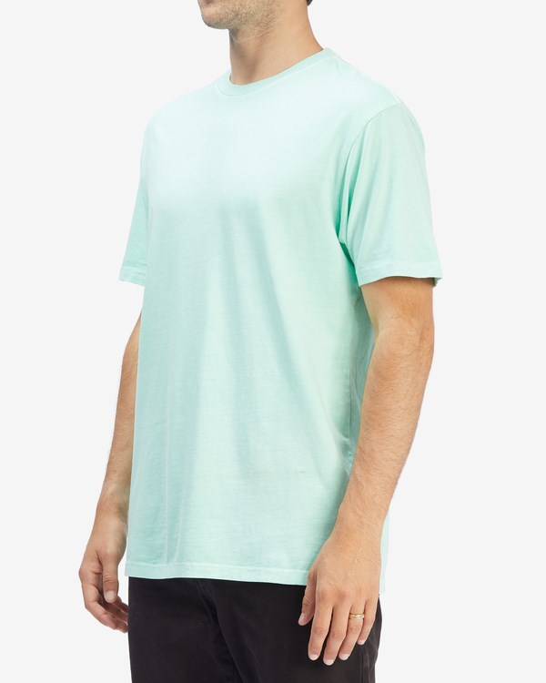 Billabong Wave Washed Krátké Sleeve T-Shirt Mátově Zelená | MDEZUL-512