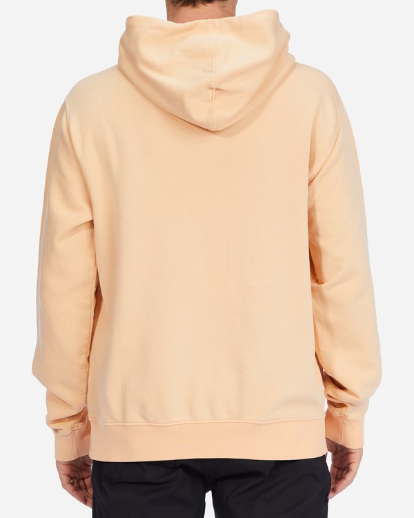 Billabong Wave Washed Pullover Hoodie Růžové | OZWXMS-518