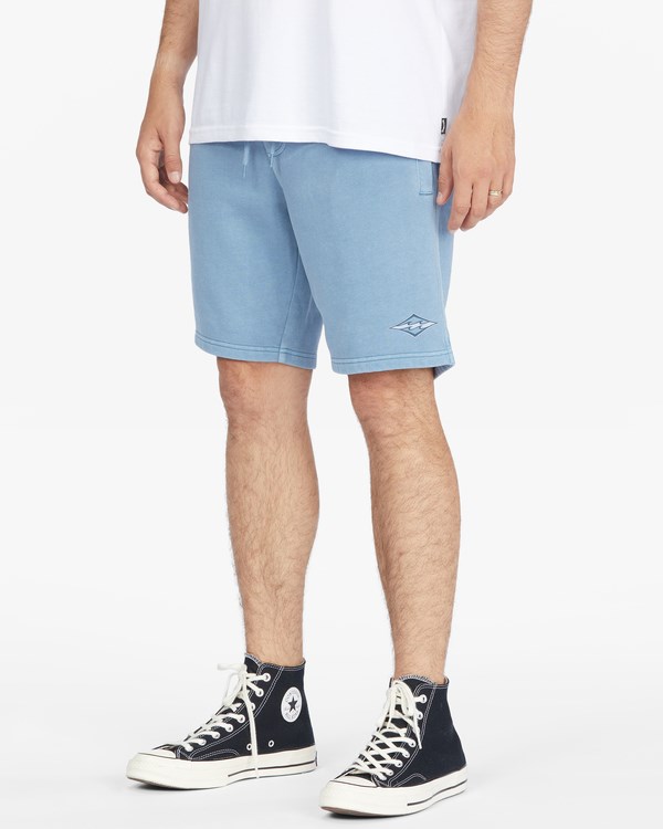 Billabong Wave Washed Theme Arch Sweatshorts Blankyt | CFVOQU-874