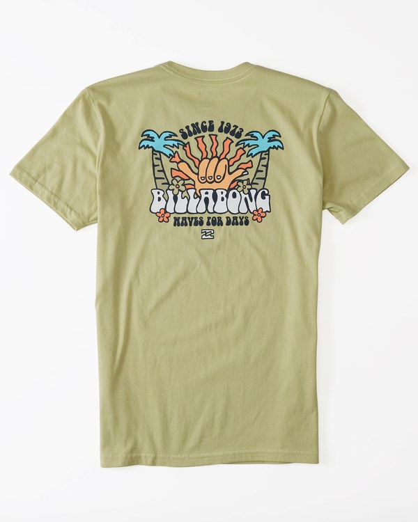 Billabong Waves For Days Krátké Sleeve T-Shirt Světle | JIATKM-281
