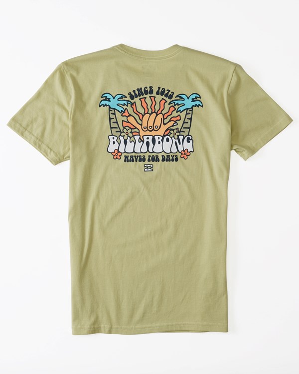Billabong Waves For Days Krátké Sleeve T-Shirt Světle | JIATKM-281